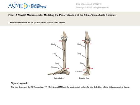Date of download: 9/18/2016 Copyright © ASME. All rights reserved. From: A New 3D Mechanism for Modeling the Passive Motion of the Tibia–Fibula–Ankle Complex.