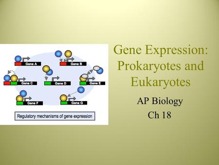Gene Expression: Prokaryotes and Eukaryotes AP Biology Ch 18.