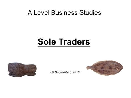 A Level Business Studies Sole Traders 30 September, 2016.