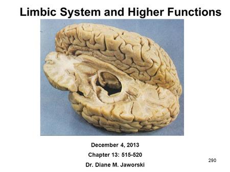290 Limbic System and Higher Functions December 4, 2013 Chapter 13: 515-520 Dr. Diane M. Jaworski.