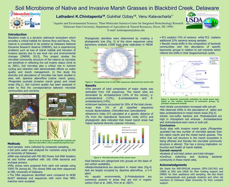 Soil Microbiome of Native and Invasive Marsh Grasses in Blackbird Creek, Delaware Lathadevi K.Chintapenta 1#, Gulnihal Ozbay 1#, Venu Kalavacharla 1* Figure.