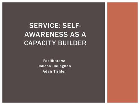 Facilitators: Colleen Callaghan Adair Tishler SERVICE: SELF- AWARENESS AS A CAPACITY BUILDER.