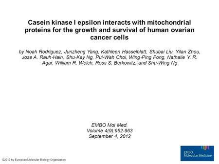 Casein kinase I epsilon interacts with mitochondrial proteins for the growth and survival of human ovarian cancer cells by Noah Rodriguez, Junzheng Yang,