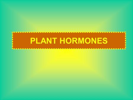 PLANT HORMONES. Chemical messenger that stimulates or suppresses the activity of cells Produced in one location of an organism and causes a response in.