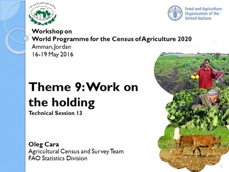 Workshop on World Programme for the Census of Agriculture 2020 Amman, Jordan 16-19 May 2016 Oleg Cara Agricultural Census and Survey Team FAO Statistics.