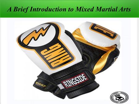 A Brief Introduction to Mixed Martial Arts. How would you react if I say that MMA (Mixed Martial Arts) is one of the renowned combat sports in the world?