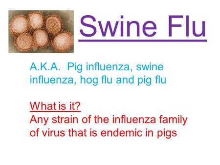 Swine Flu A.K.A. Pig influenza, swine influenza, hog flu and pig flu What is it? Any strain of the influenza family of virus that is endemic in pigs.