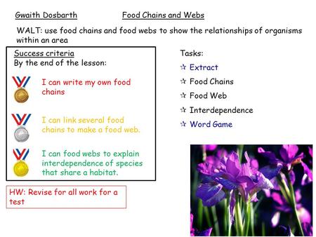 WALT: use food chains and food webs to show the relationships of organisms within an area Tasks:  Extract  Food Chains  Food Web  Interdependence 
