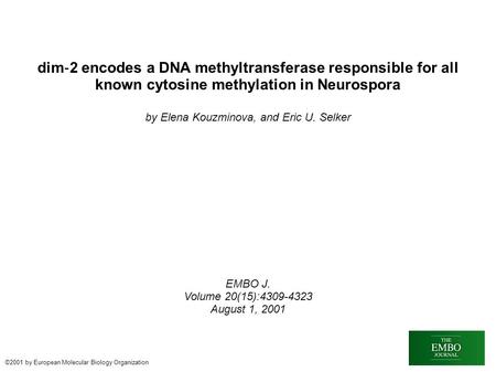 Dim ‐ 2 encodes a DNA methyltransferase responsible for all known cytosine methylation in Neurospora by Elena Kouzminova, and Eric U. Selker EMBO J. Volume.
