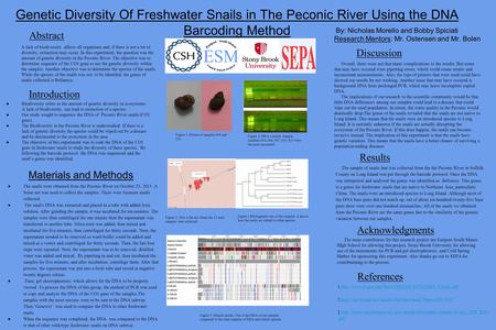 Genetic Diversity Of Freshwater Snails in The Peconic River Using the DNA Barcoding Method ●Biodiversity refers to the amount of genetic diversity in ecosystems.