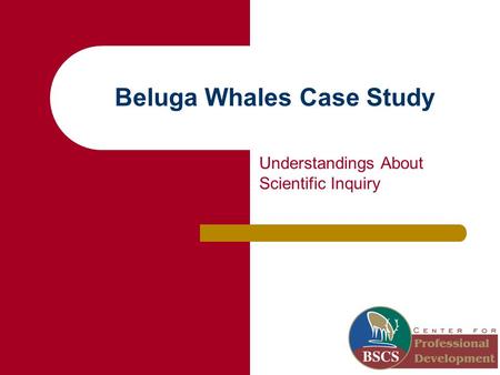 Beluga Whales Case Study Understandings About Scientific Inquiry.
