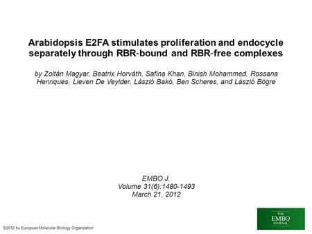 Arabidopsis E2FA stimulates proliferation and endocycle separately through RBR ‐ bound and RBR ‐ free complexes by Zoltán Magyar, Beatrix Horváth, Safina.