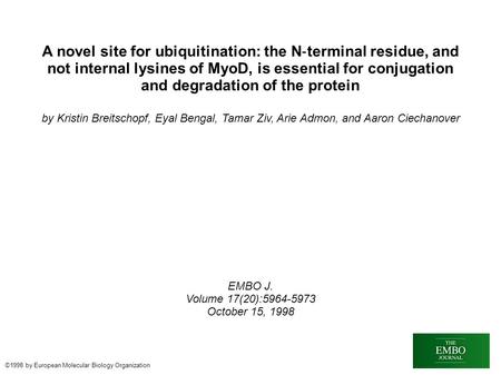 A novel site for ubiquitination: the N ‐ terminal residue, and not internal lysines of MyoD, is essential for conjugation and degradation of the protein.
