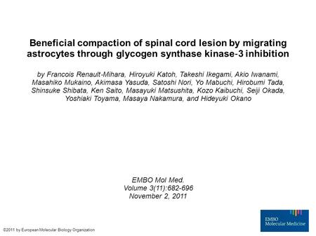 Beneficial compaction of spinal cord lesion by migrating astrocytes through glycogen synthase kinase ‐ 3 inhibition by Francois Renault ‐ Mihara, Hiroyuki.