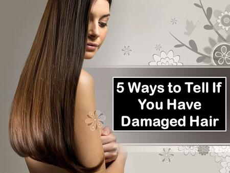 5 Ways to Tell If You Have Damaged Hair