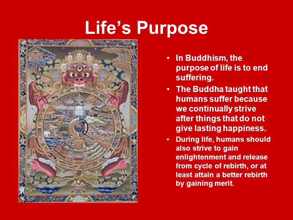 Life%E2%80%99s+Purpose+In+Buddhism%2C+the+purpose+of+life+is+to+end+suffering..jpg