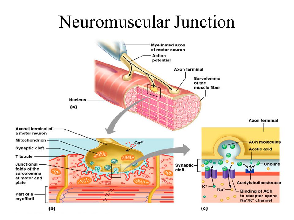 download interstitial