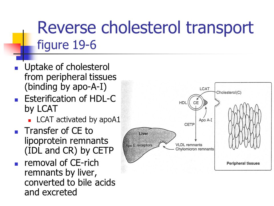 download abc of arterial and venous