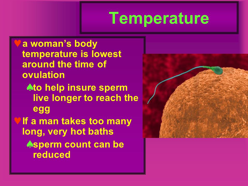 How Long Does Sperm Live Inside A Woman 72