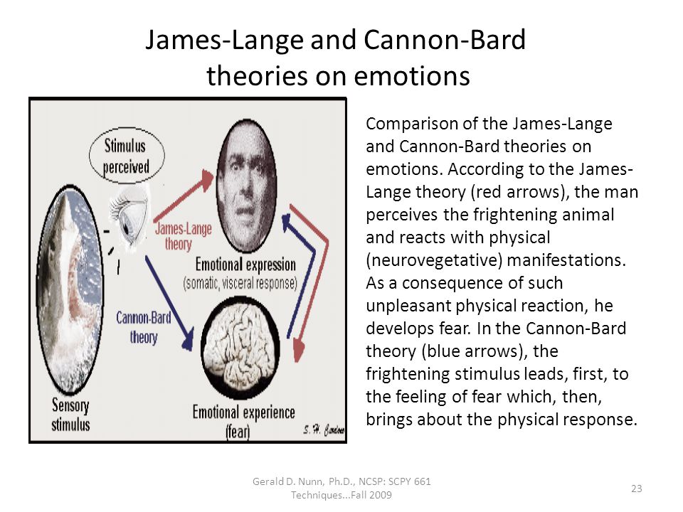 3 what is the cannon bard theory of emotion