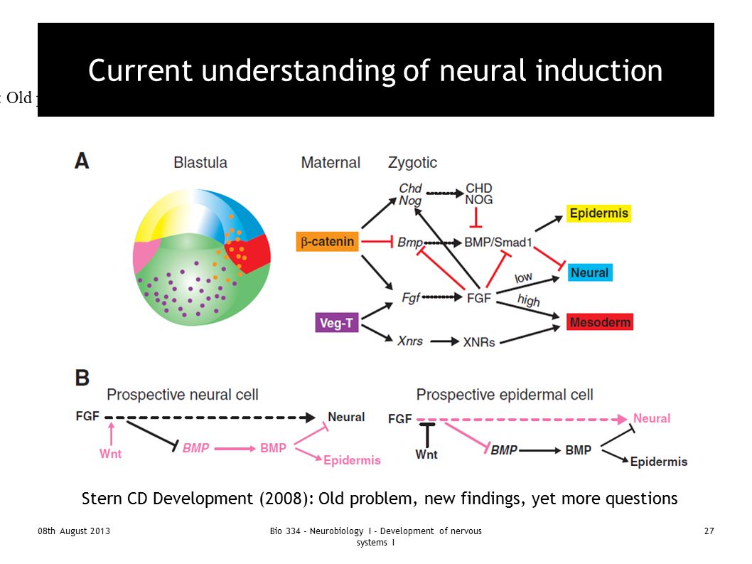 Old Problem Of Induction 97