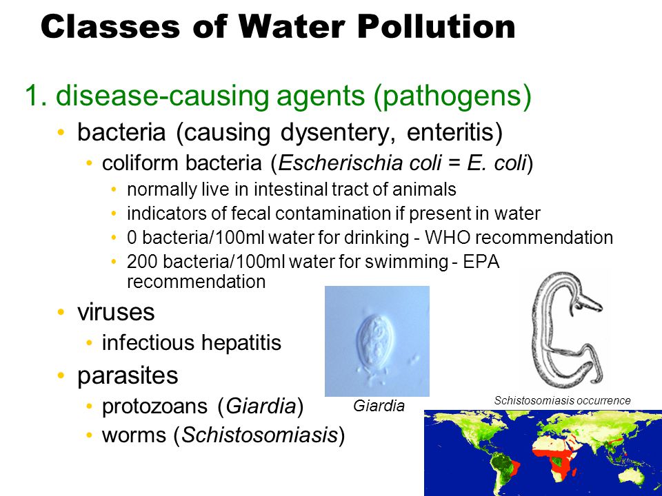 Giardia Water Pollution 112