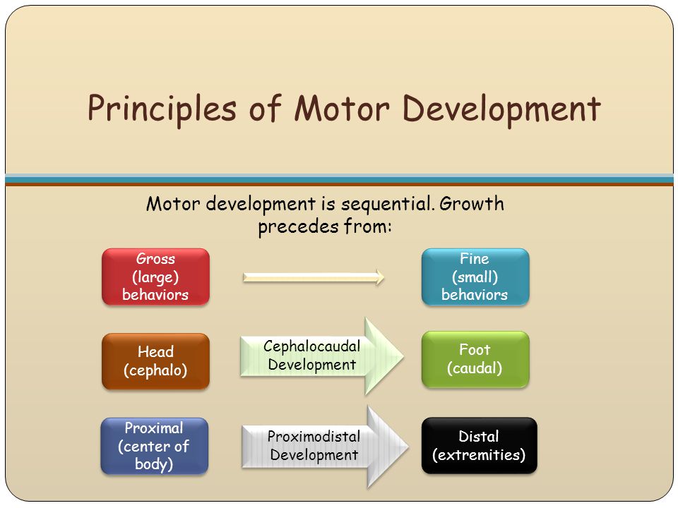 download morphology and lexical