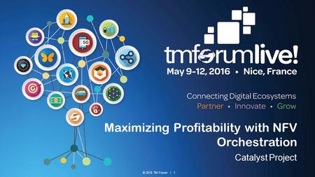 © 2016 TM Forum | 1 Maximizing Profitability with NFV Orchestration Catalyst Project.