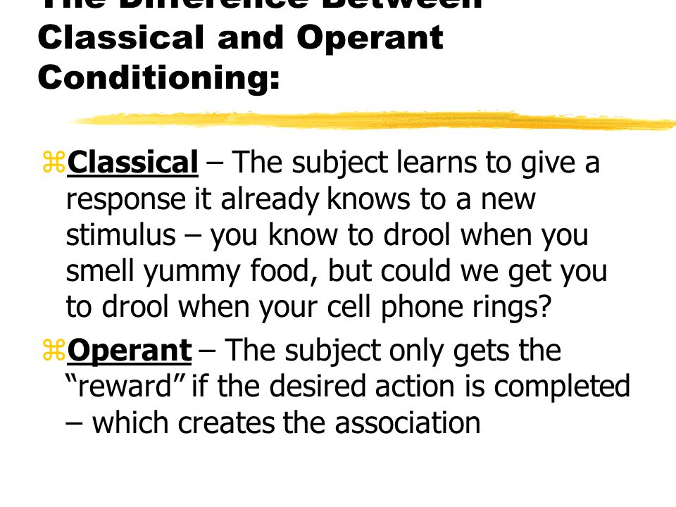 what is conditioning