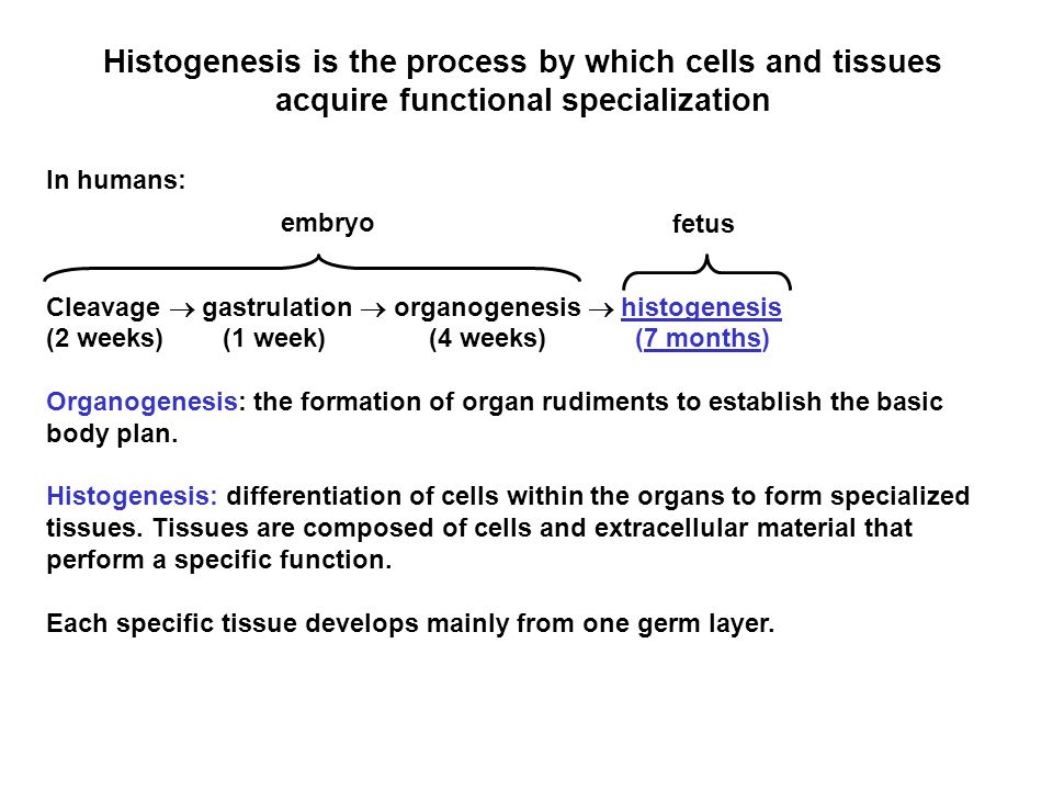 read Microgenetic