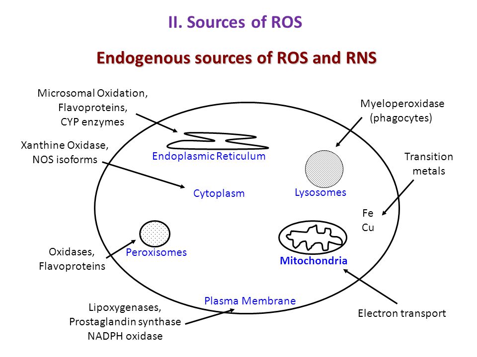 download regenerated cellulose fibres 2000