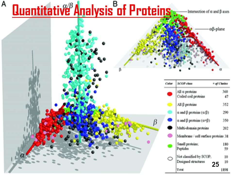 Analysis Of Proteins 47
