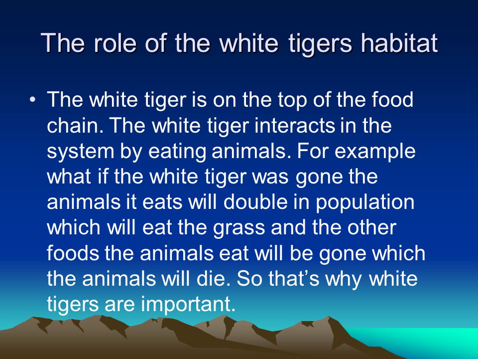This power point is all about the White tigers ecosystem ...
