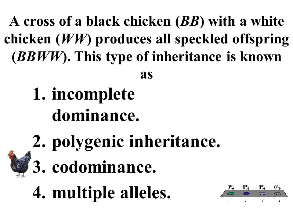Gamete Formation In The F1 Of Polygenic Crosses Gamete Formation In The F1 Of Polygenic Crosses