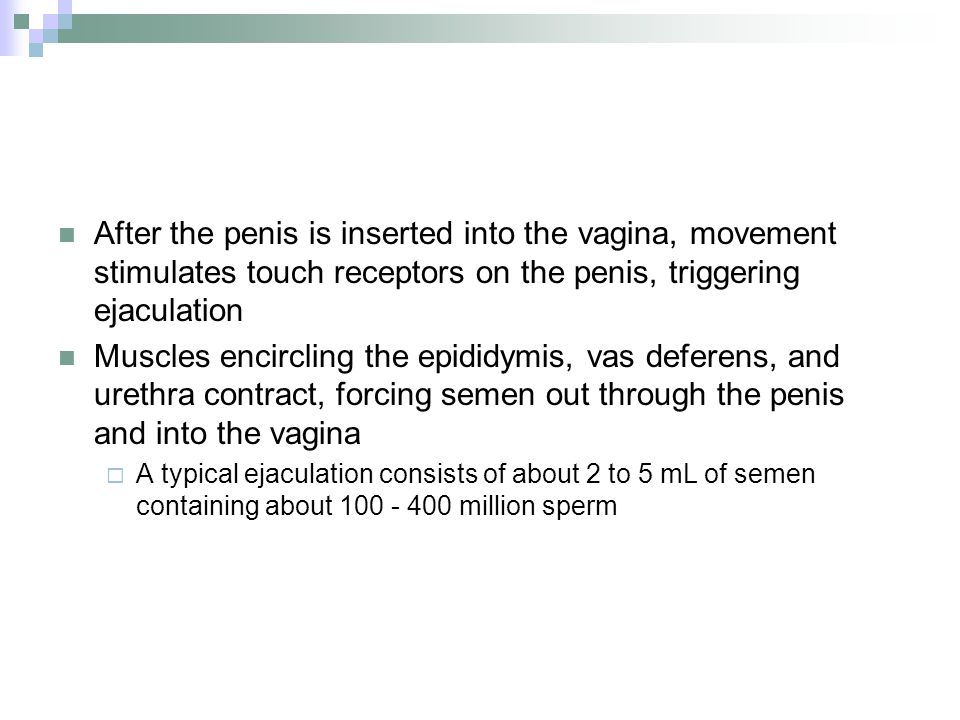 Penis Inserted In A Vagina 16