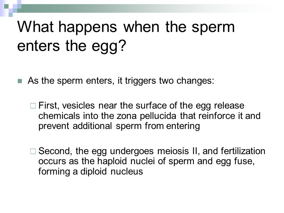 What Happens If A Man Sperm Count Is Too High 6