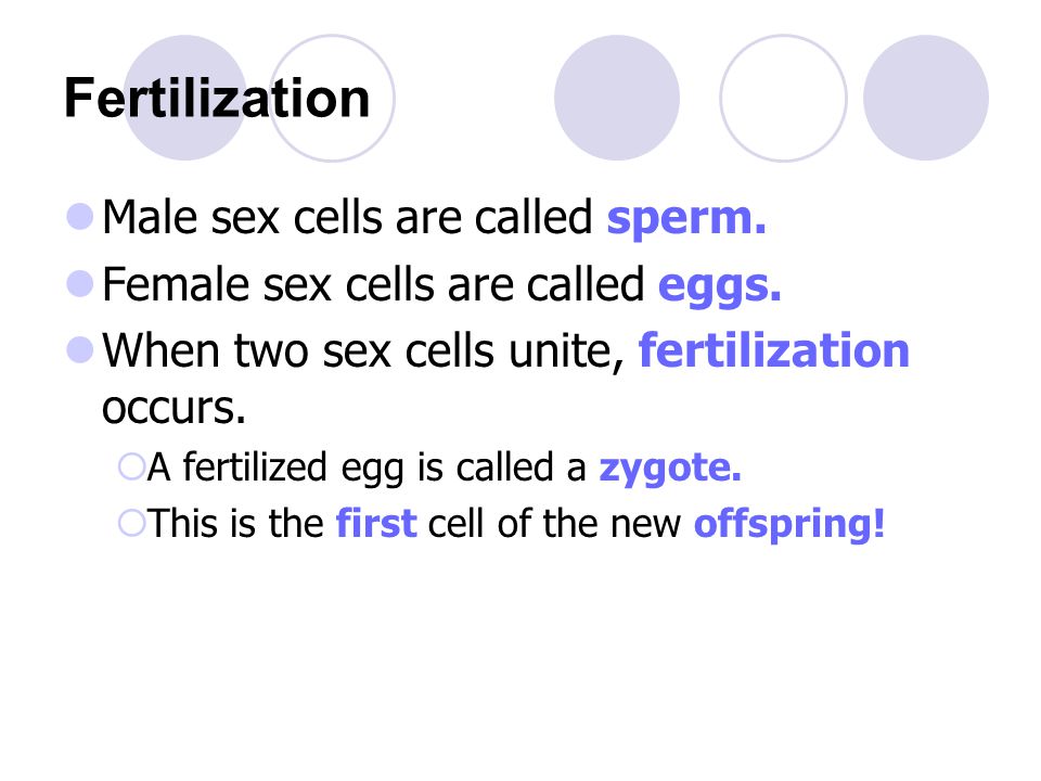 Male Sex Cells Are Called 14