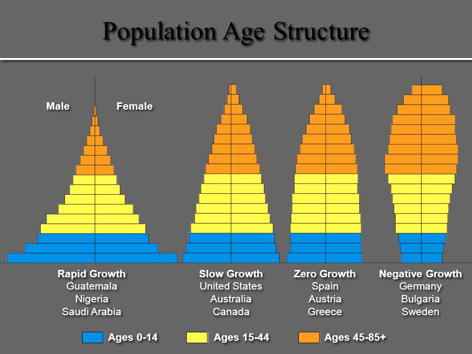Population ecology - Calculating population growth