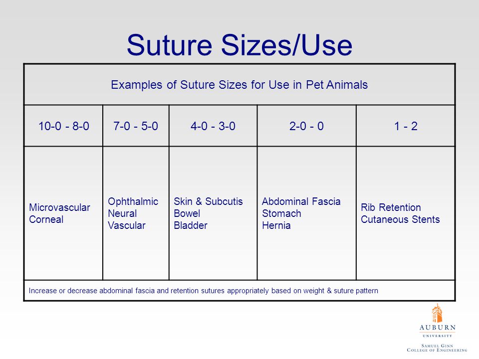 Examples+of+Suture+Sizes+for+Use+in+Pet+Animals