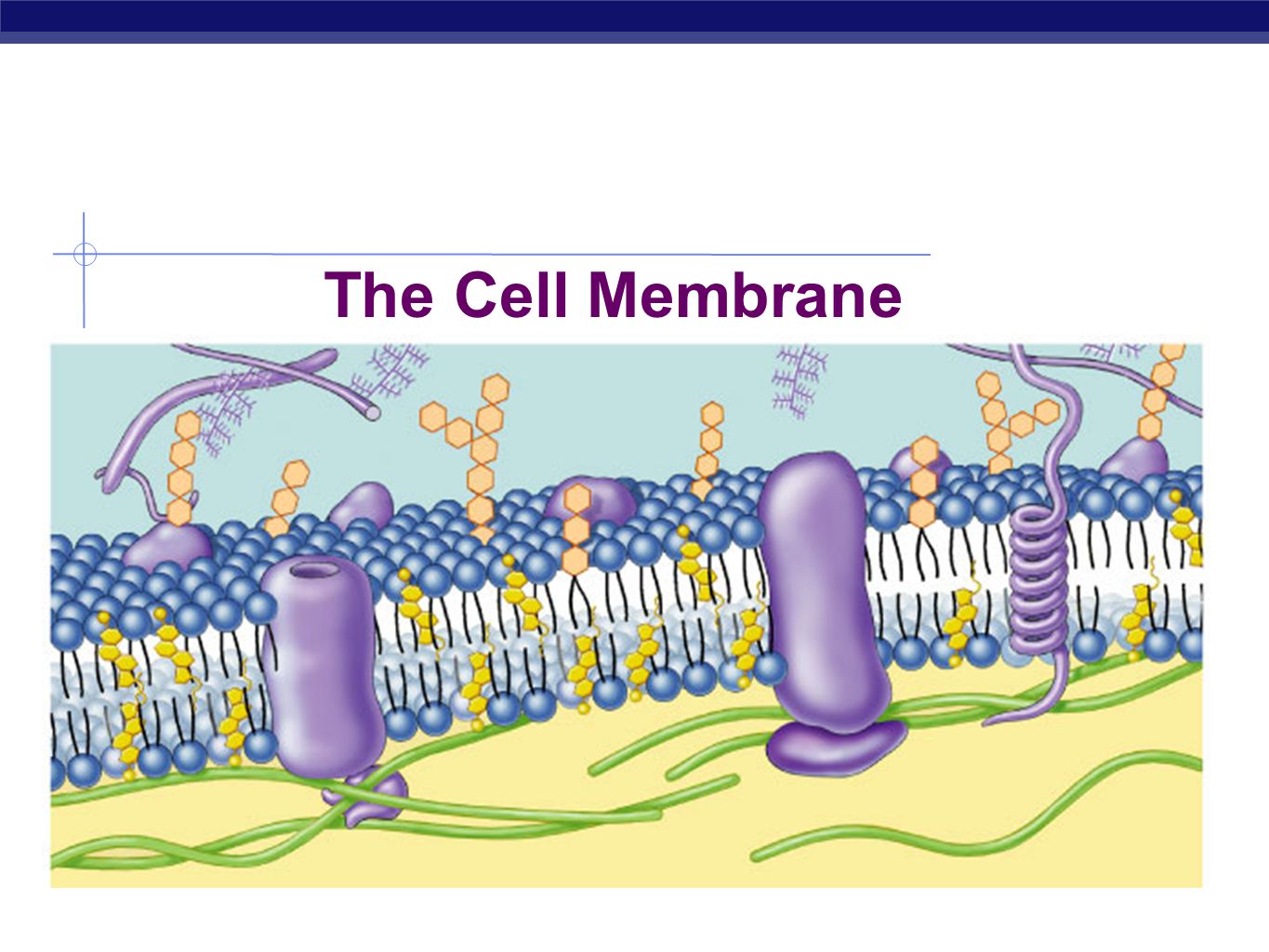 download the cerebellum and adaptive control