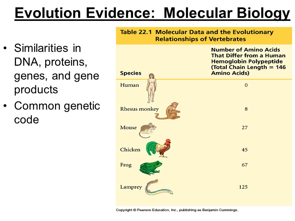 download evolutionary genetics