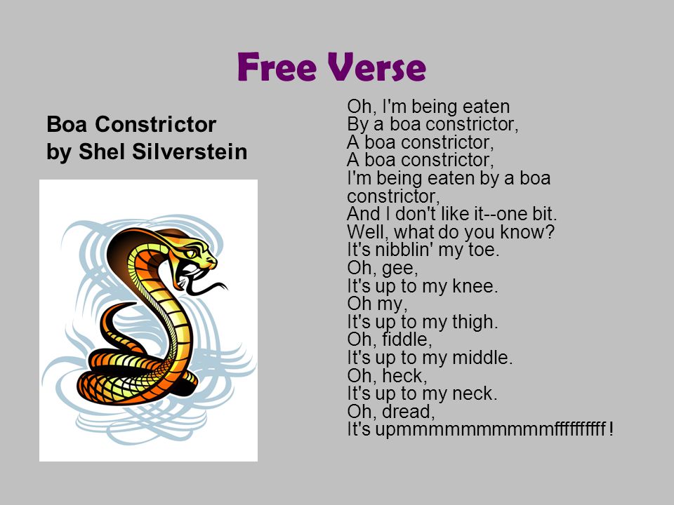 L'Europe impopulaire - Page 20 Free+Verse+Boa+Constrictor+by+Shel+Silverstein