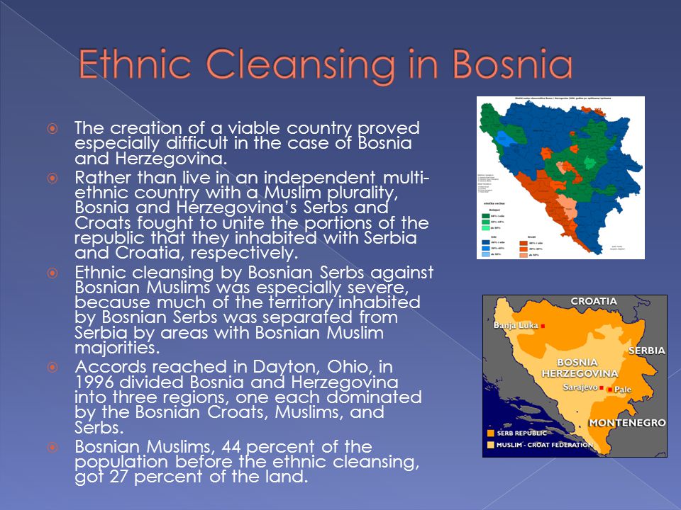 Ethnic Cleansing Of Bosnia 102