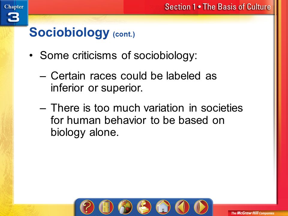 psychological capital