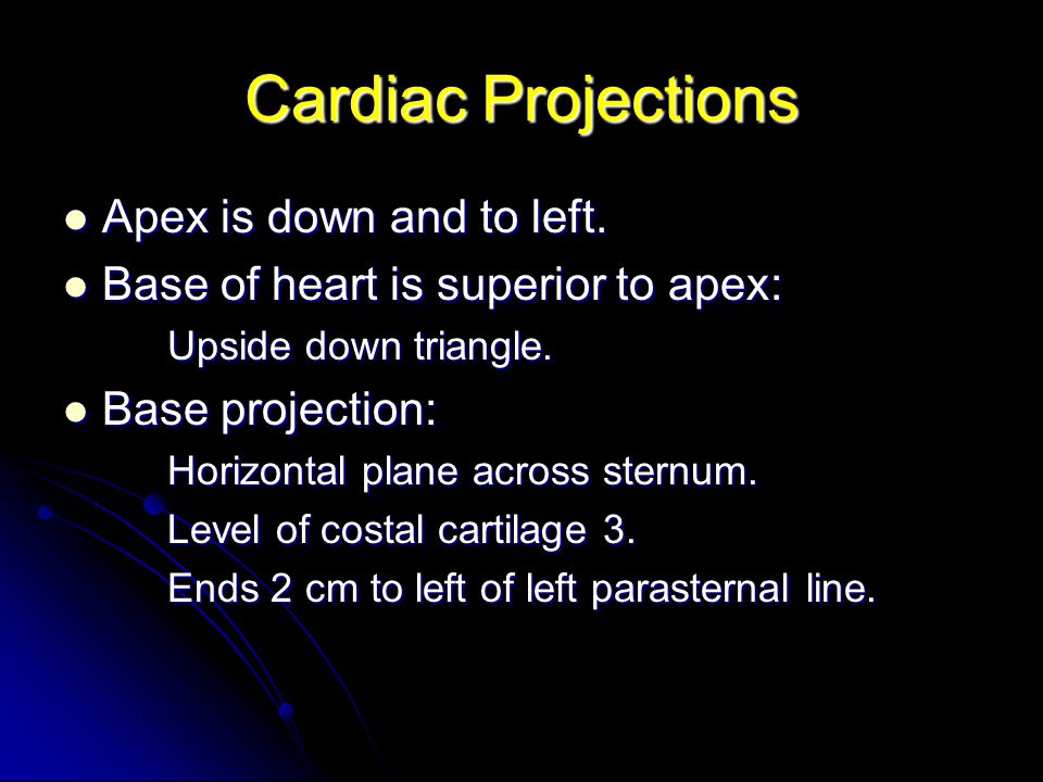 thoracic cavity heart.