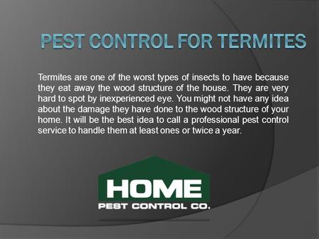 Termites are one of the worst types of insects to have because they eat away the wood structure of the house. They are very hard to spot by inexperienced.