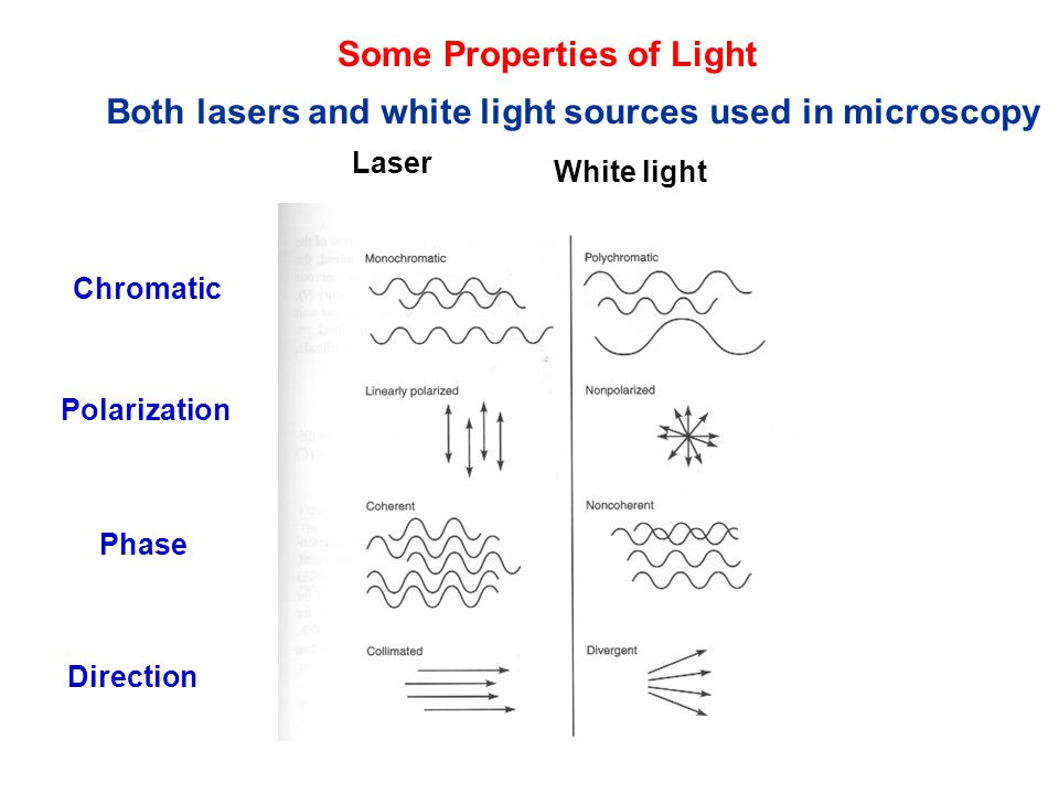 ebook a practical guide for studying chuas circuits nonlinear science series a world scientific series