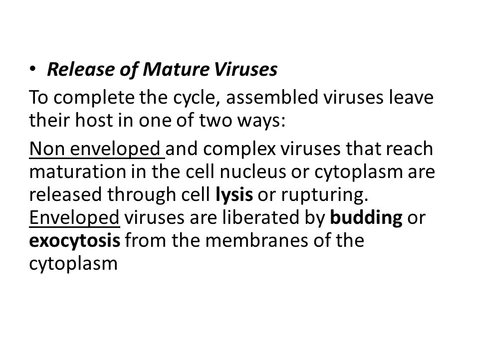 Two Ways Mature Virus Particles 109