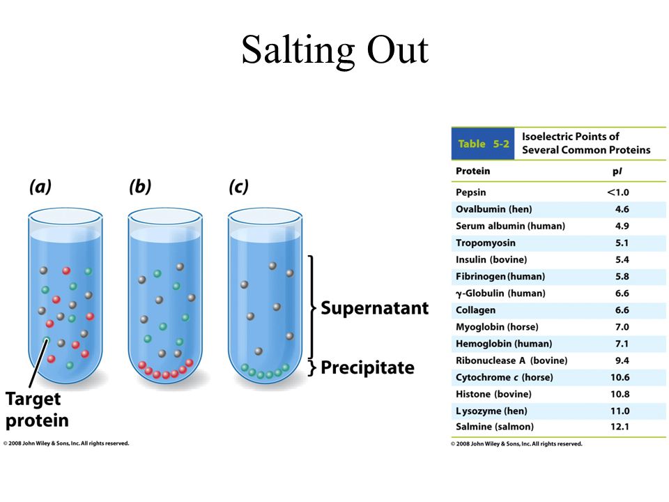 download circulation distribution entropy production and irreversibility