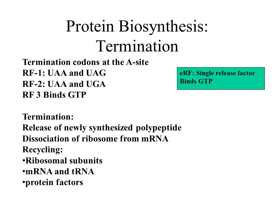 epub microwave assisted polymer synthesis